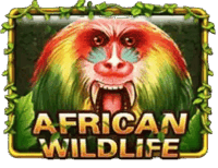 African Wildlife African Wildlife