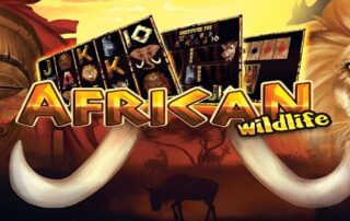 African Wildlife