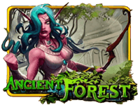 Ancient Forest