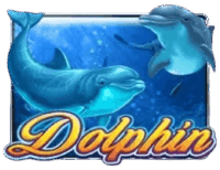 Dolphin Dolphin