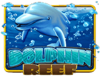 Dolphin Reef
