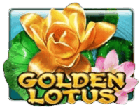 Golden Lotus Golden Lotus