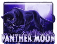 Panther Moon Panther Moon