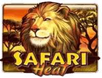 Safari Heat Safari Heat