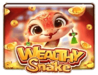 Wealthy Snake Wealthy Snake