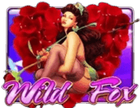 Wild Fox Wild Fox