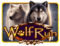 Wolf Run