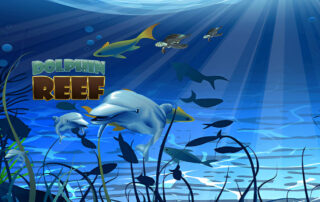 Dolphin Reef