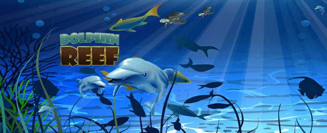 Dolphin Reef