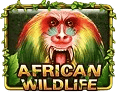 African Wildlife