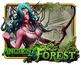 Ancient Forest
