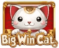 Big Win Cat
