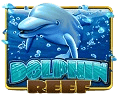 Dolphin Reef
