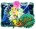 Fairy Garden