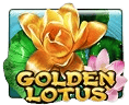 Golden Lotus