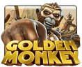 Golden Monkey