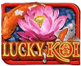 Lucky Koi