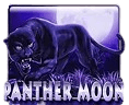 Panther Moon