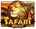 Safari Heat