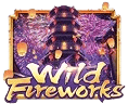 Wild Fireworks