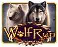 Wolf Run